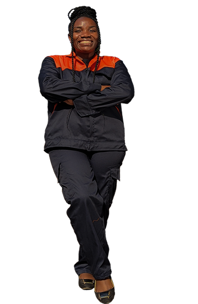 linkmedia tailored 1